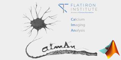 Digital image of a neuron, the Flatiron Institute logo and the words Calcium Imaging Analysis (CaImAn)