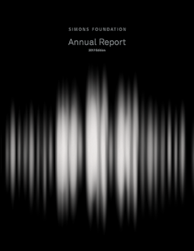 Cover of Simons Foundation 2017 Annual Report