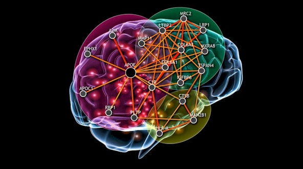 Graphic of a genome-wide scale functional interaction network overlaid on a brain