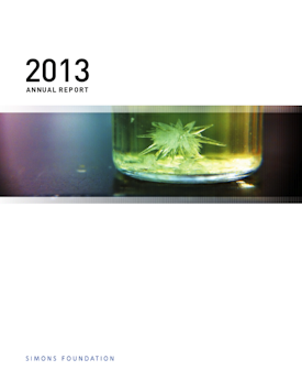 Simons Foundation 2013 Annual Report cover, featuring RNA precursor molecule crystals