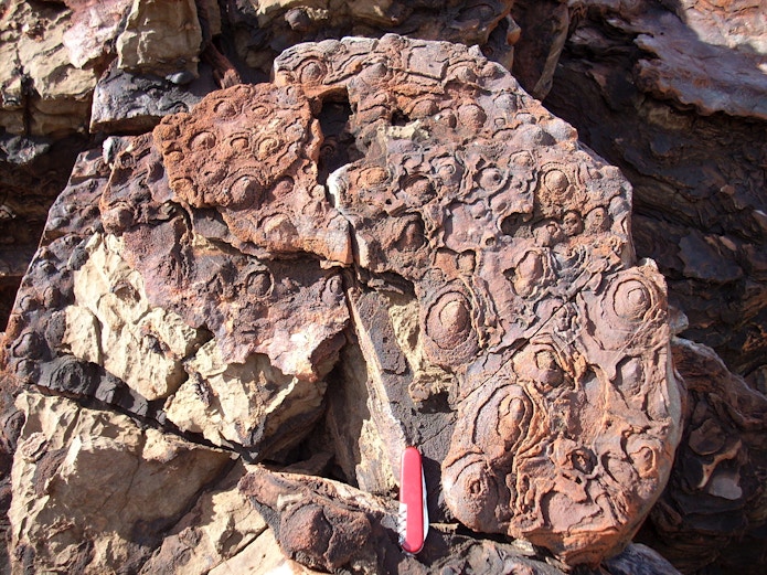 Rock with different circular shapes on it