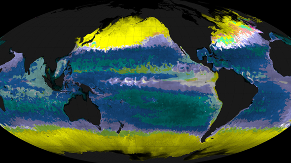 Yellow, purple, blue and green map of earth to represent modeling of marine ecosystems