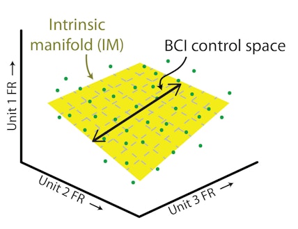 A visualization of three-dimensional neural activity with a two-dimensional intrinsic manifold and one-dimensional mapping